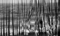 Littoral, Project Space Wollongong 2013