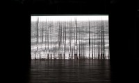 Littoral, National Art School Sydney 2014