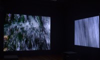 Antidote, installation documentation