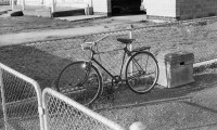 'Bicycle' 1977