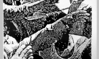 Untitled charcoal drawing UTDD03 1979 (1500 x 2250 mm)
