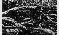 Untitled charcoal drawing UTDD02 1979 (1500 x 2250 mm)