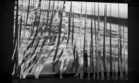 Littoral, Project Space Wollongong 2013