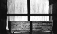 Last Stand Standing Still (document 3) 1986