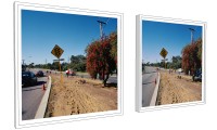 Nature Strip, digital mock-up of diptych