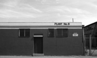 'Plant 9' 1977