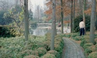 PFC12 City Gardens, Shanghai PRC, man in foreground, printed 2011, 1100 x 1100 mm archival digital print, ed 10