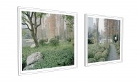 PFC City Gardens mock diptych